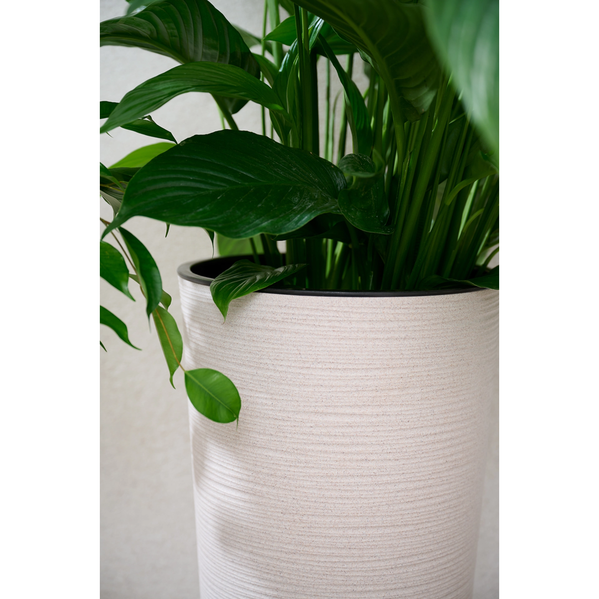 Blumentopf Locon 25cm creme D25xH46,5 cm | SIENA G...