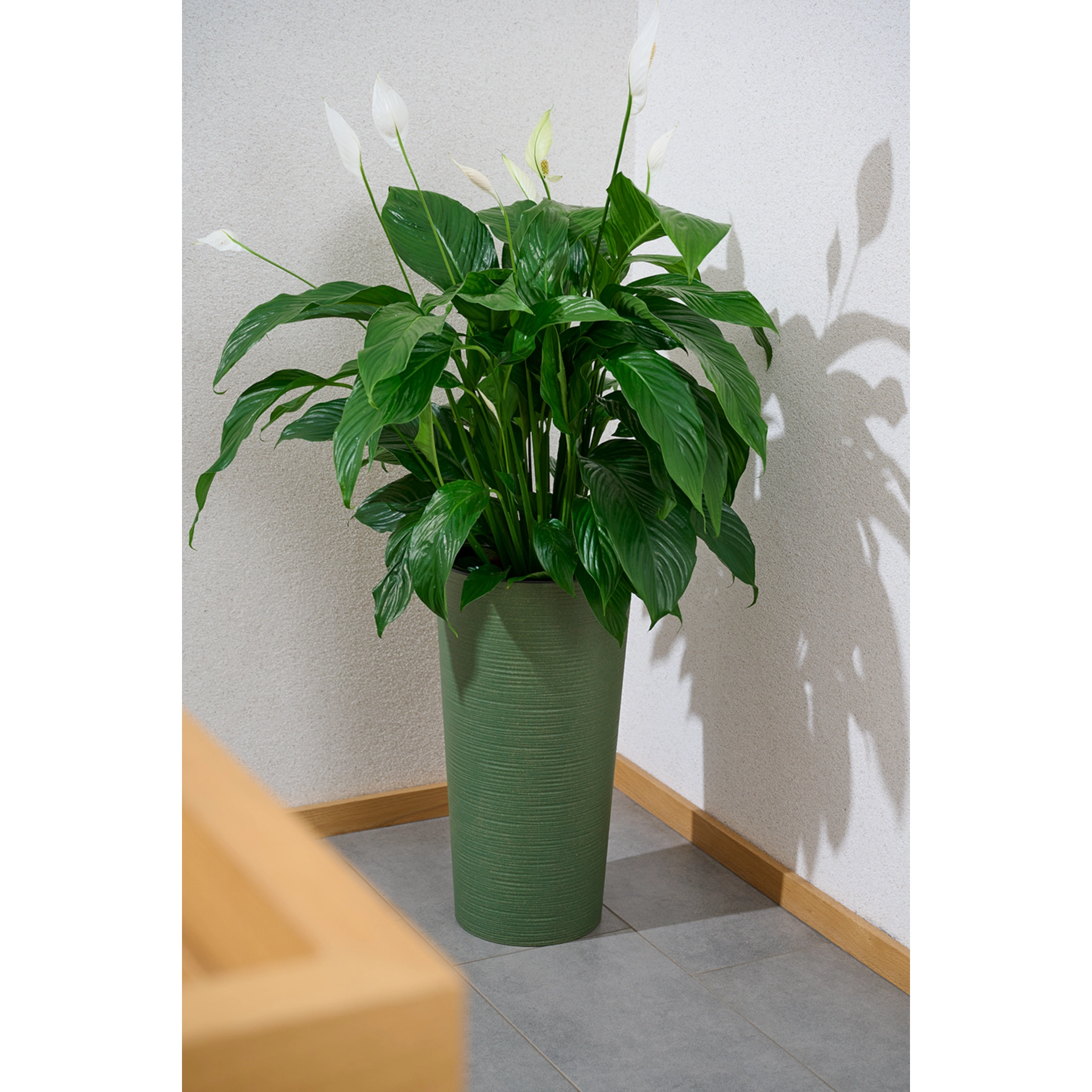 Blumentopf Locon grün 25cm D25xH46,5 cm | SIENA G...