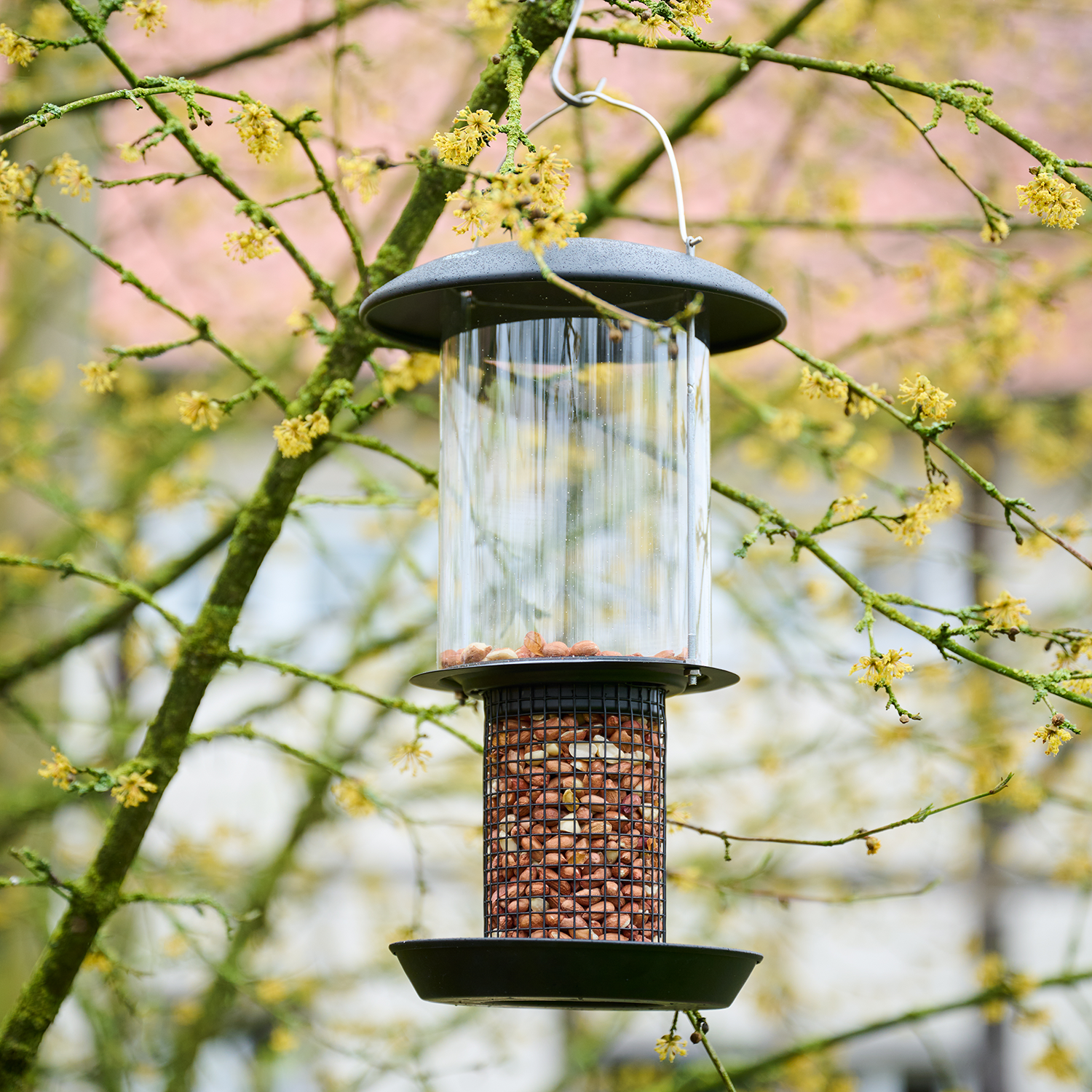 Tiere im Garten | Futtersäule Erdnüsse Metall | ...