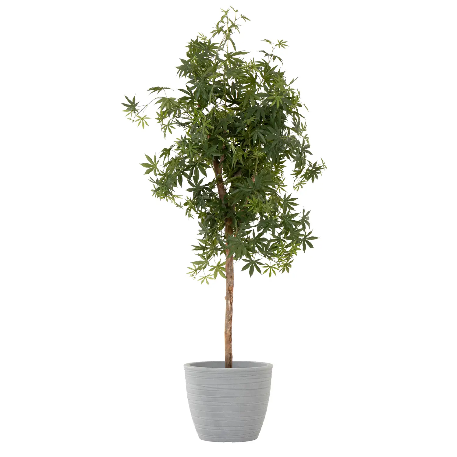 Blumentopf ANDORRA 48 grau Ø 48 cmx42 cm | SIENA ...