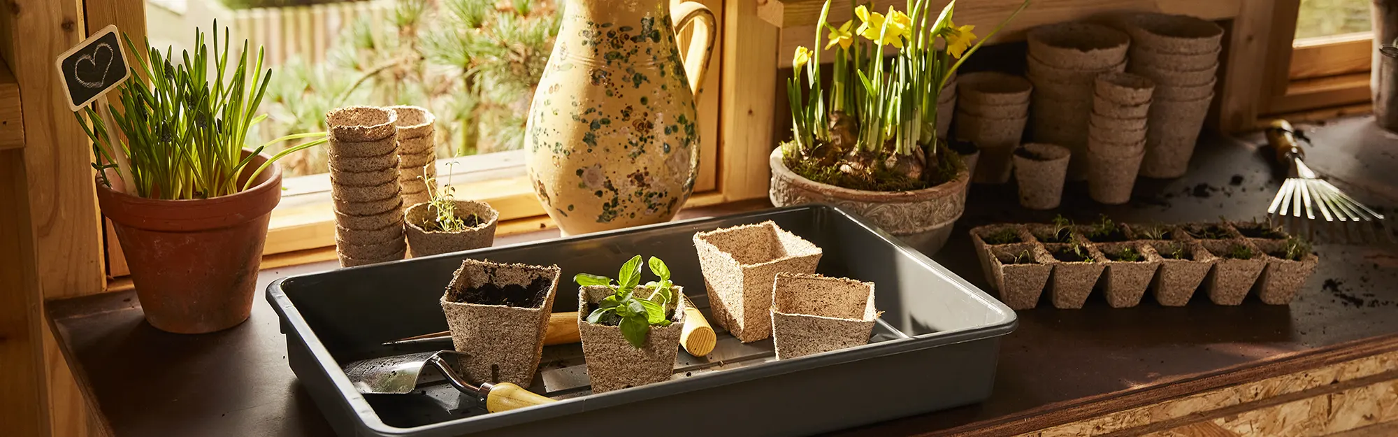 Ein Bild mit Anzuchtboxen, Anzuchttöpfen und den dazu benötigten Gartengeräten