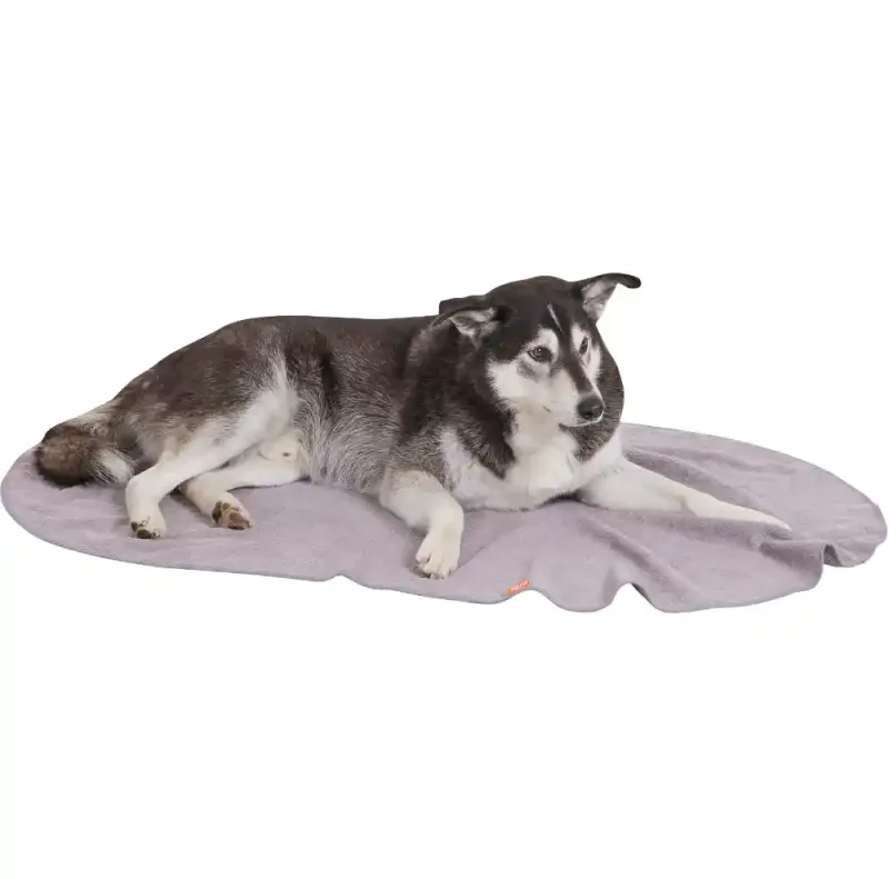 Siena Garden LIFA Hundedecke grau XL