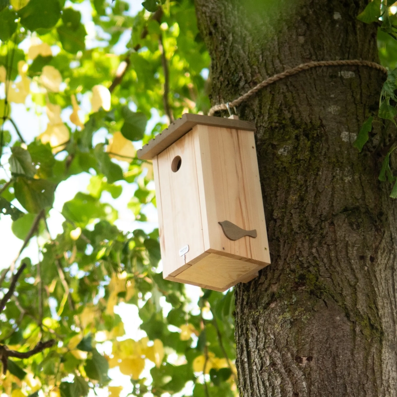 Siena Garden Nistkasten "Nestliebe" Kiefer FSC® 100%