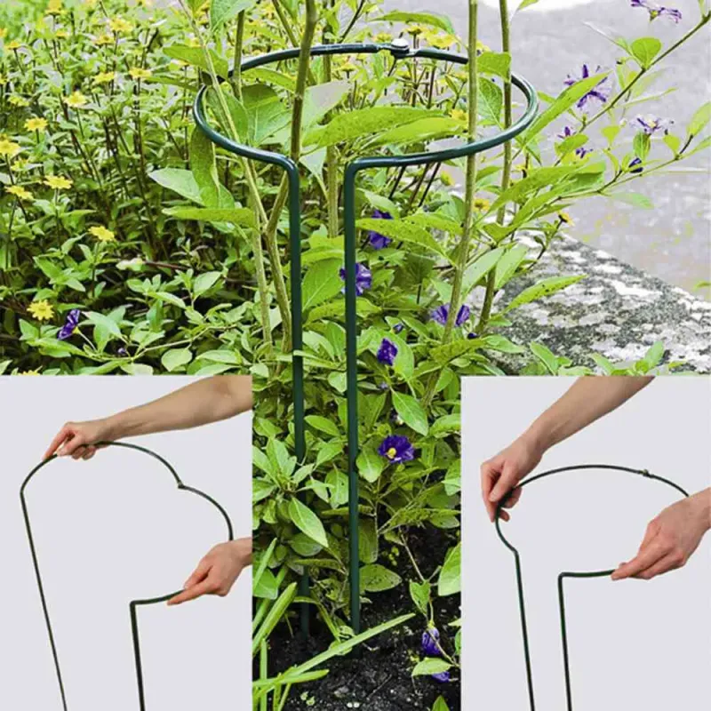 Siena Garden Pflanzenstütze vollrund 55 cm