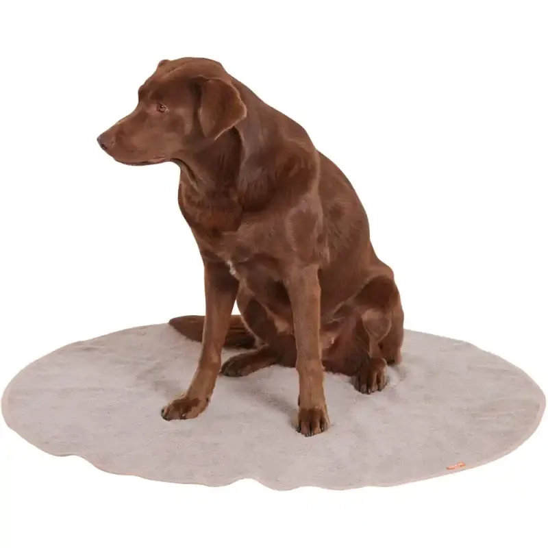 Siena Garden LIFA Hundedecke beige M